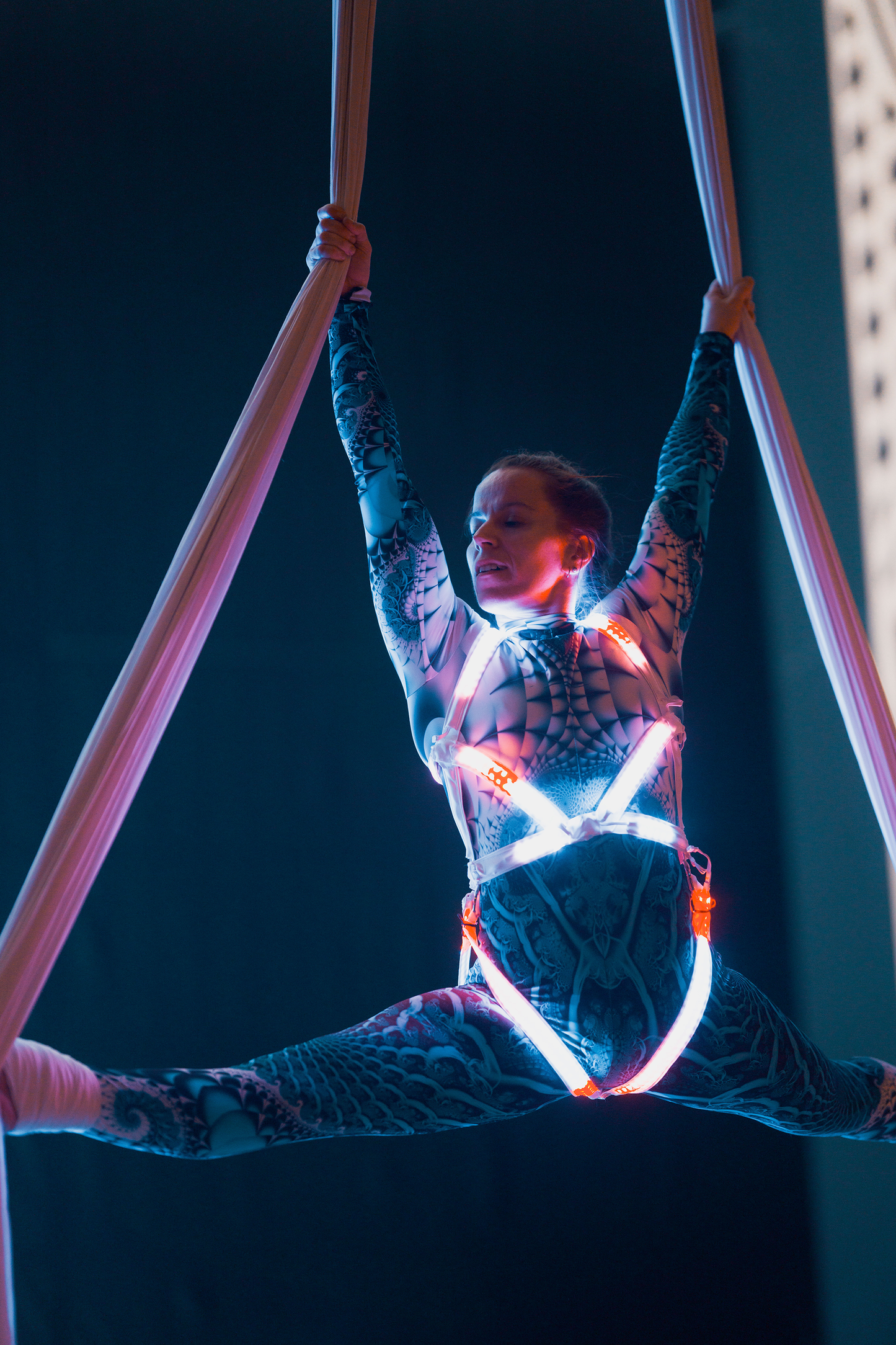 Aphrodite Body LED Harness COMING SOON