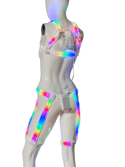 Harmonia LED Harness Set COMING SOON